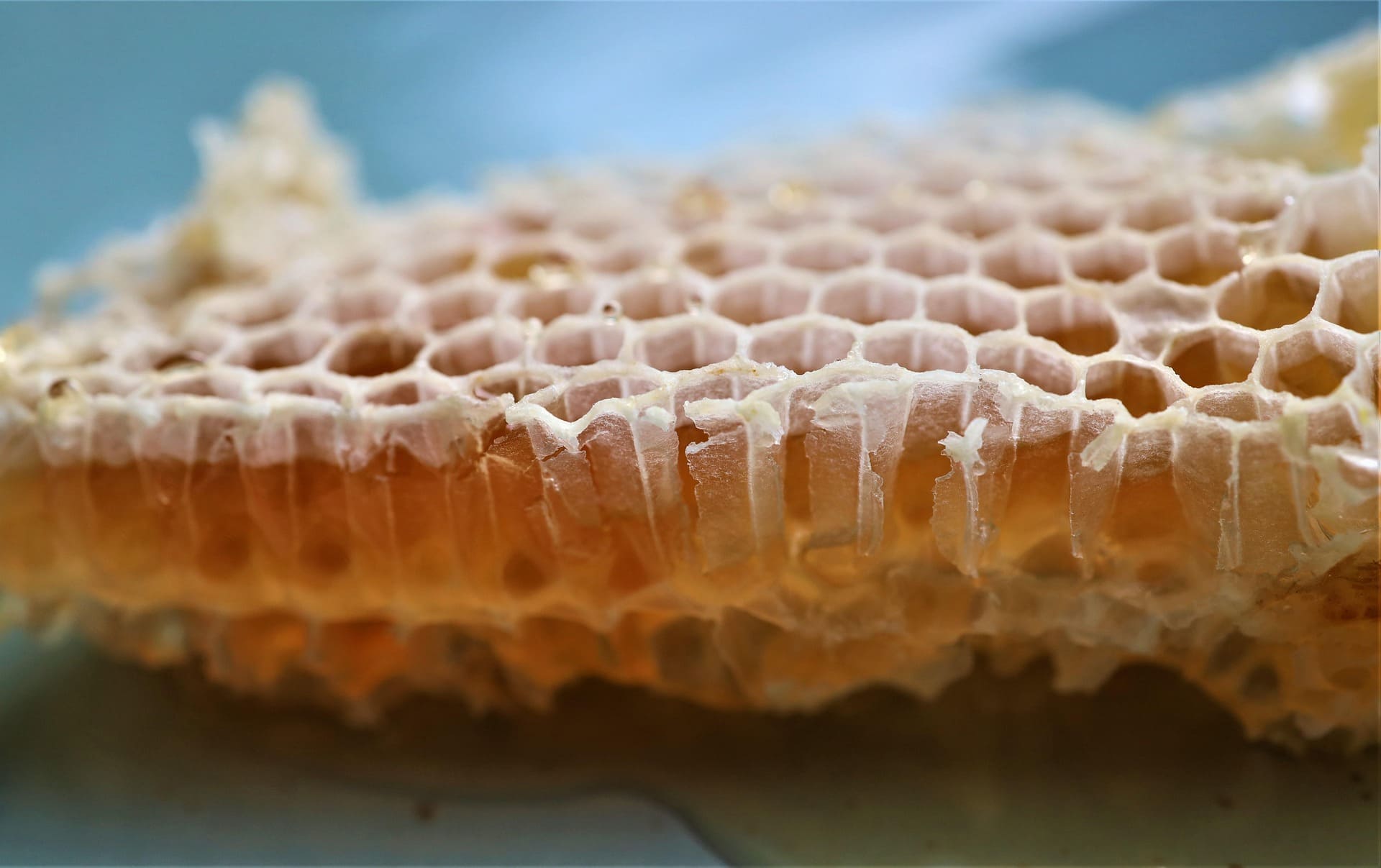 Premium honey jar with natural harvest quality