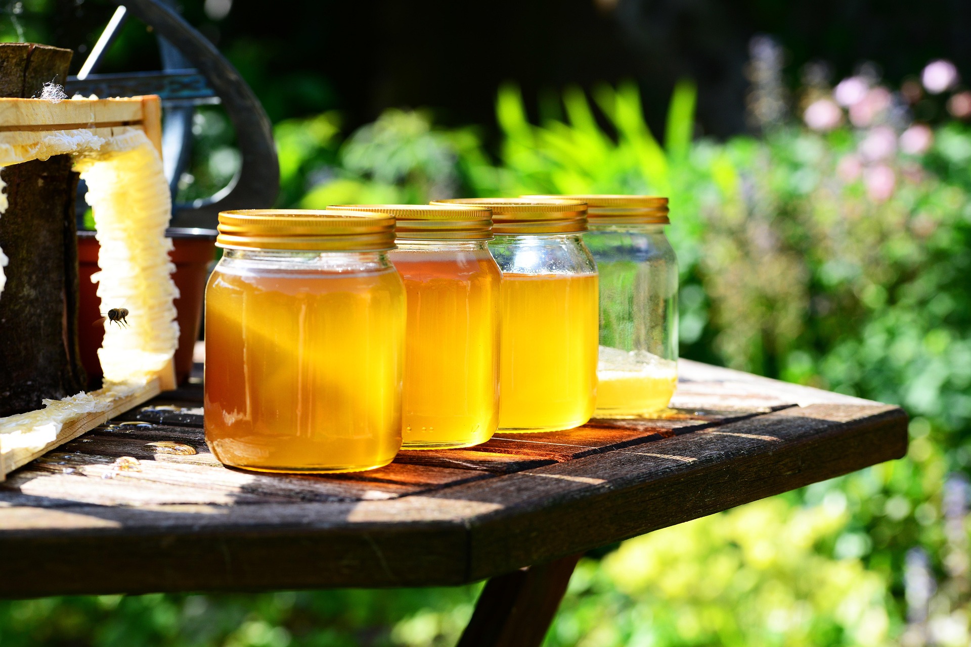 another honey image
